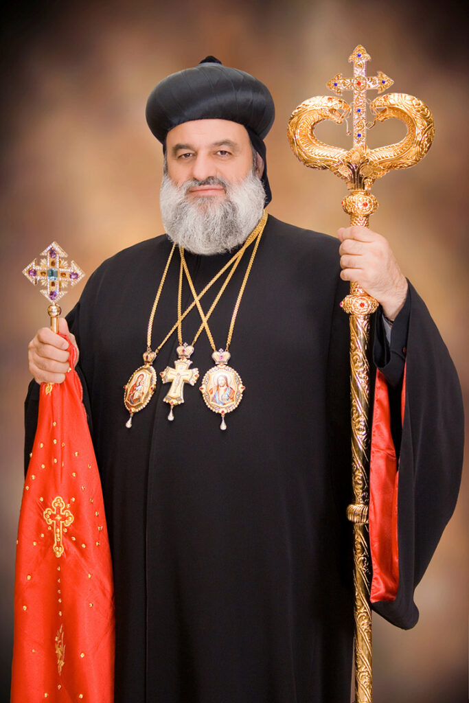 pat-bava